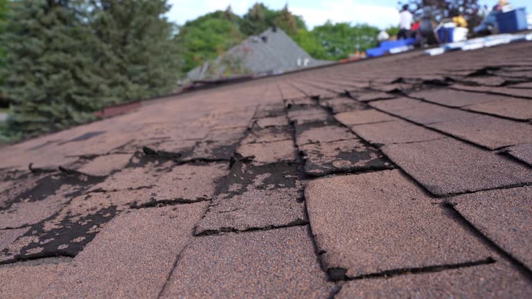 Best Asphalt Shingles Roofing  in Traer, IA